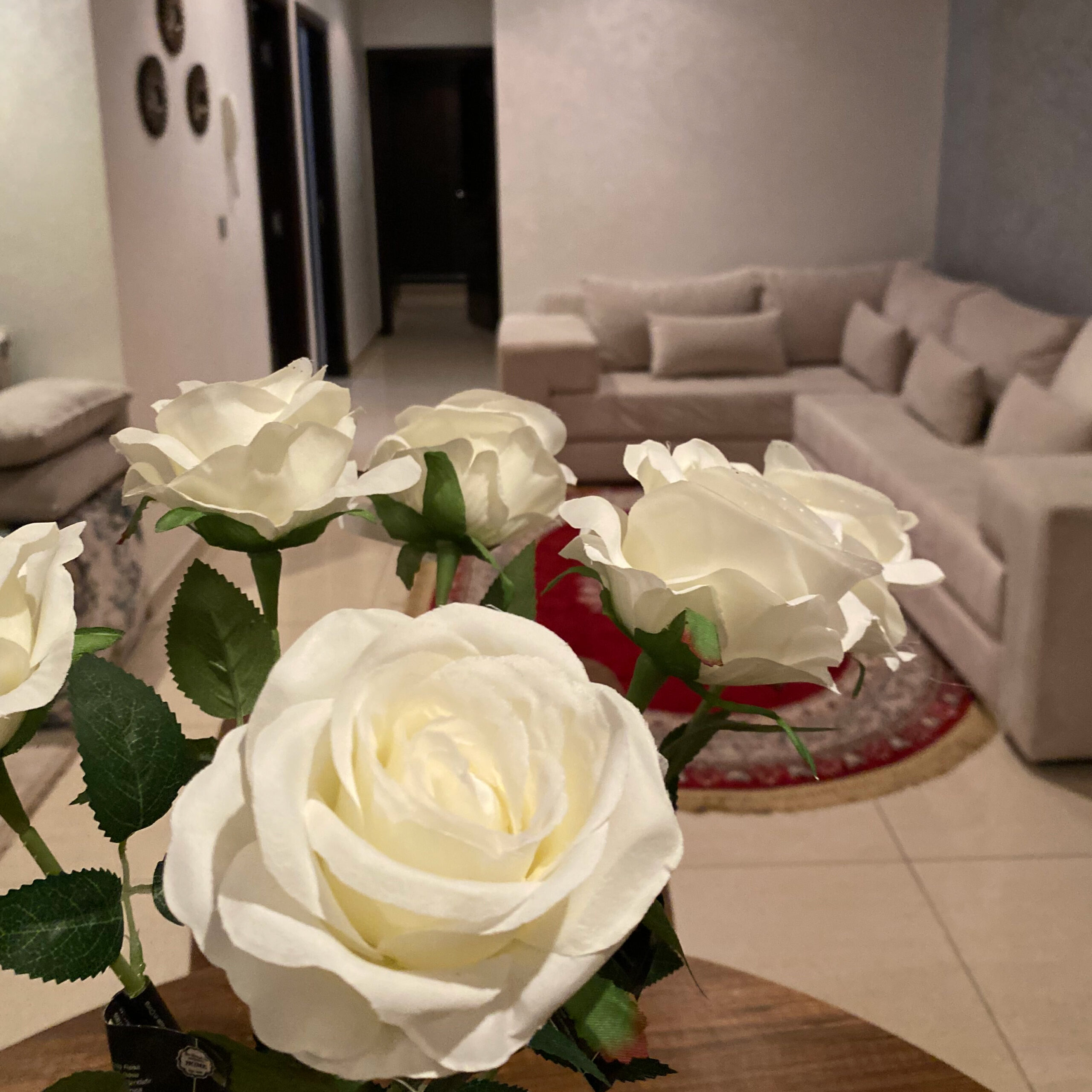 Piscine et Retrait Islane