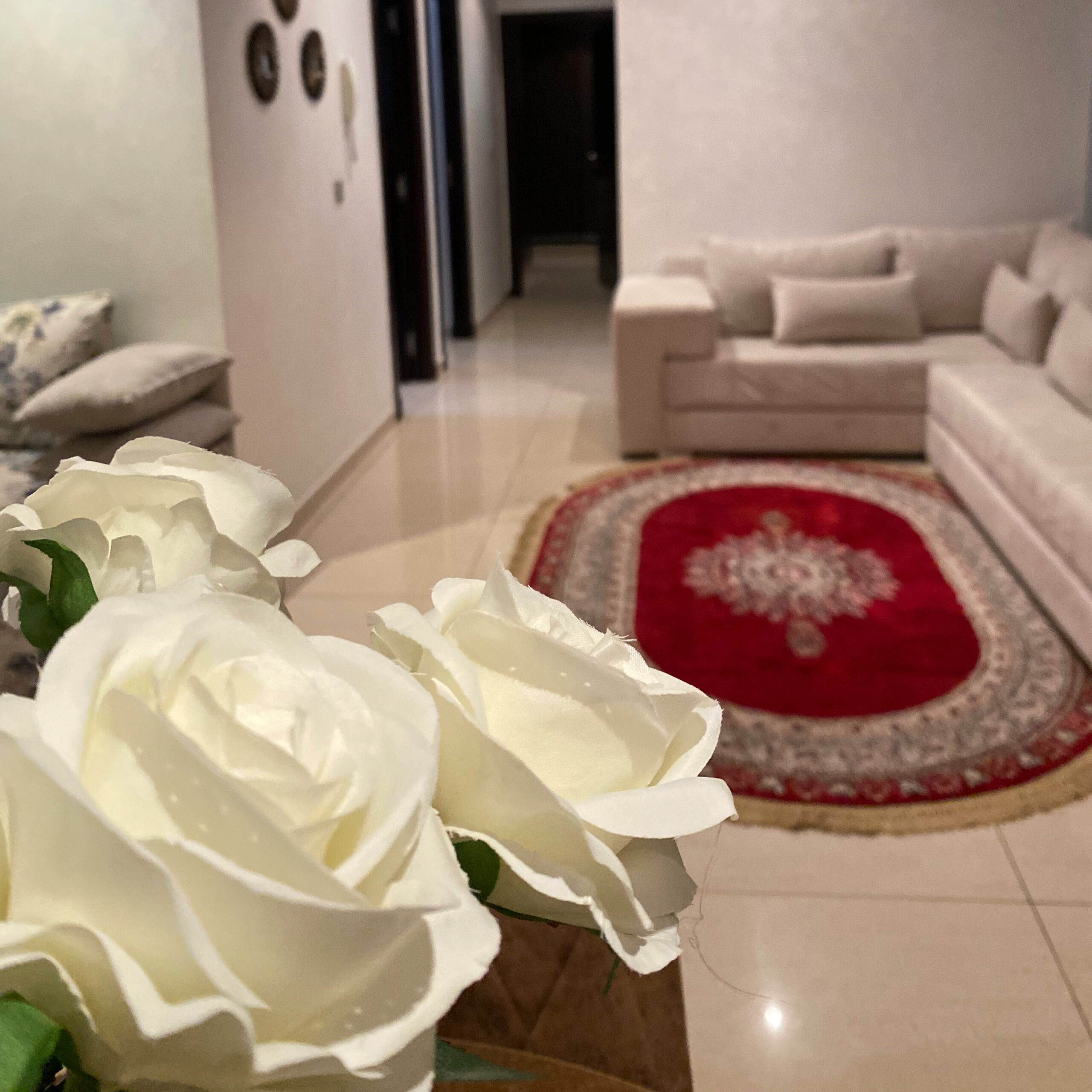 Piscine et Retrait Islane