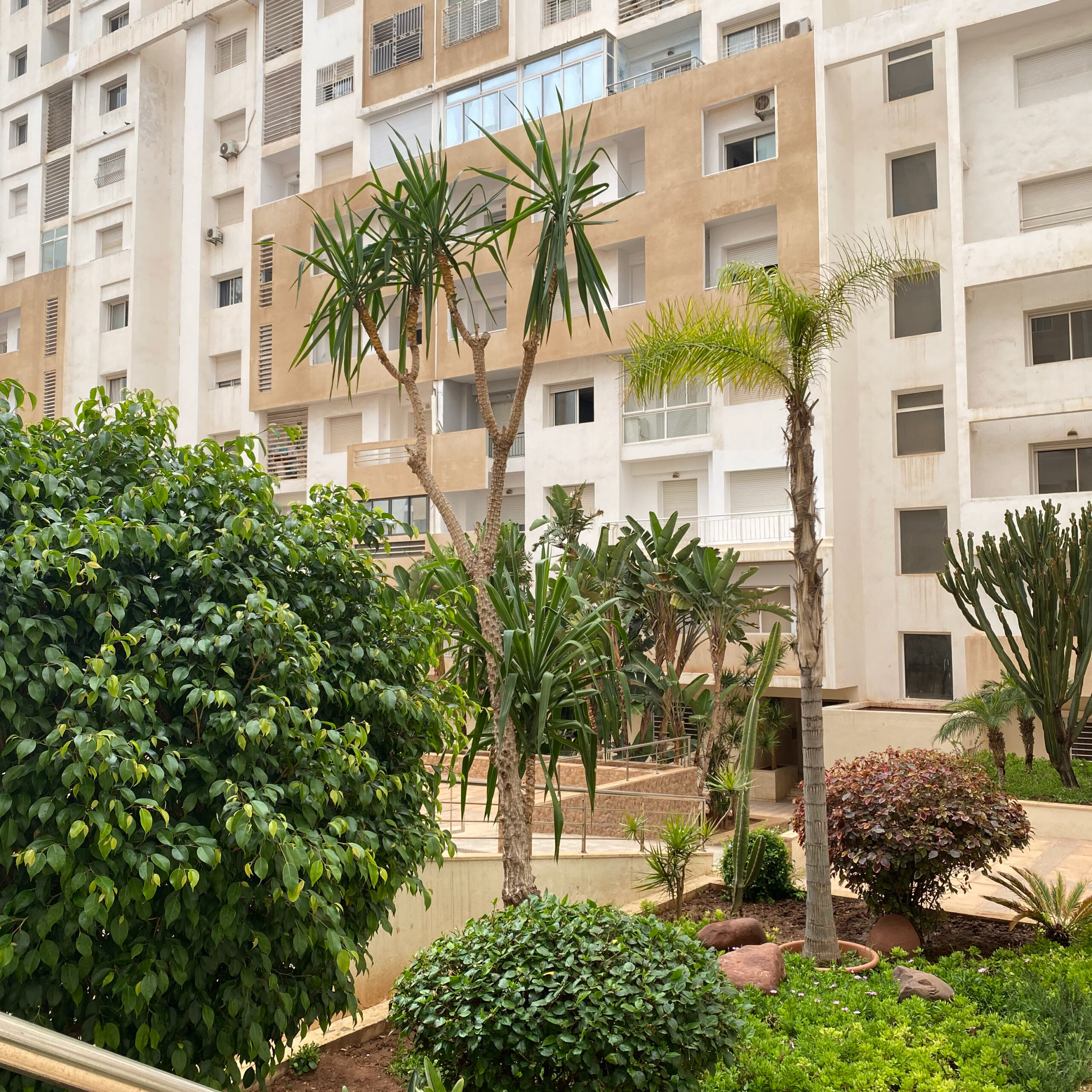 Piscine et Retrait Islane