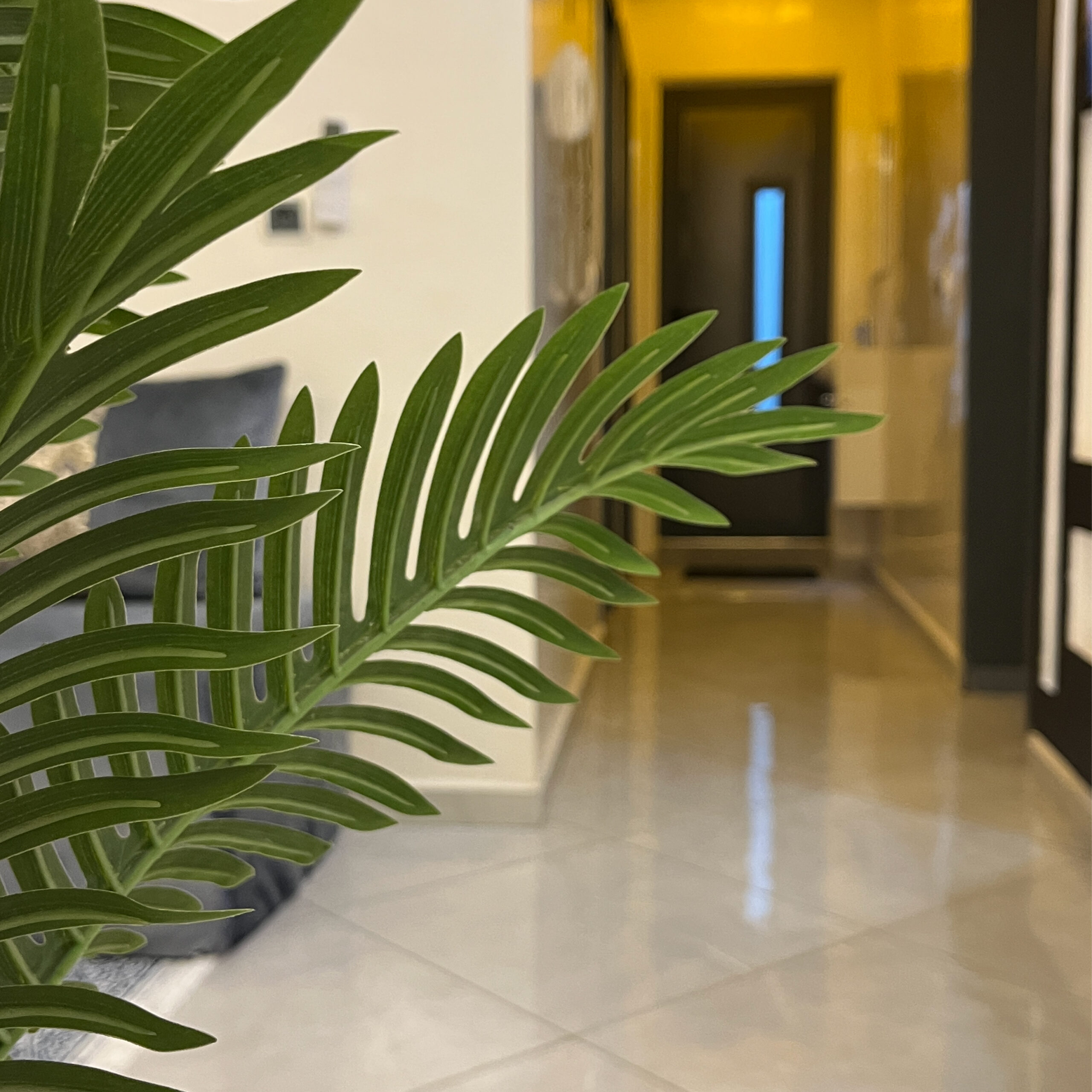 Le Coin Douillet de Razan