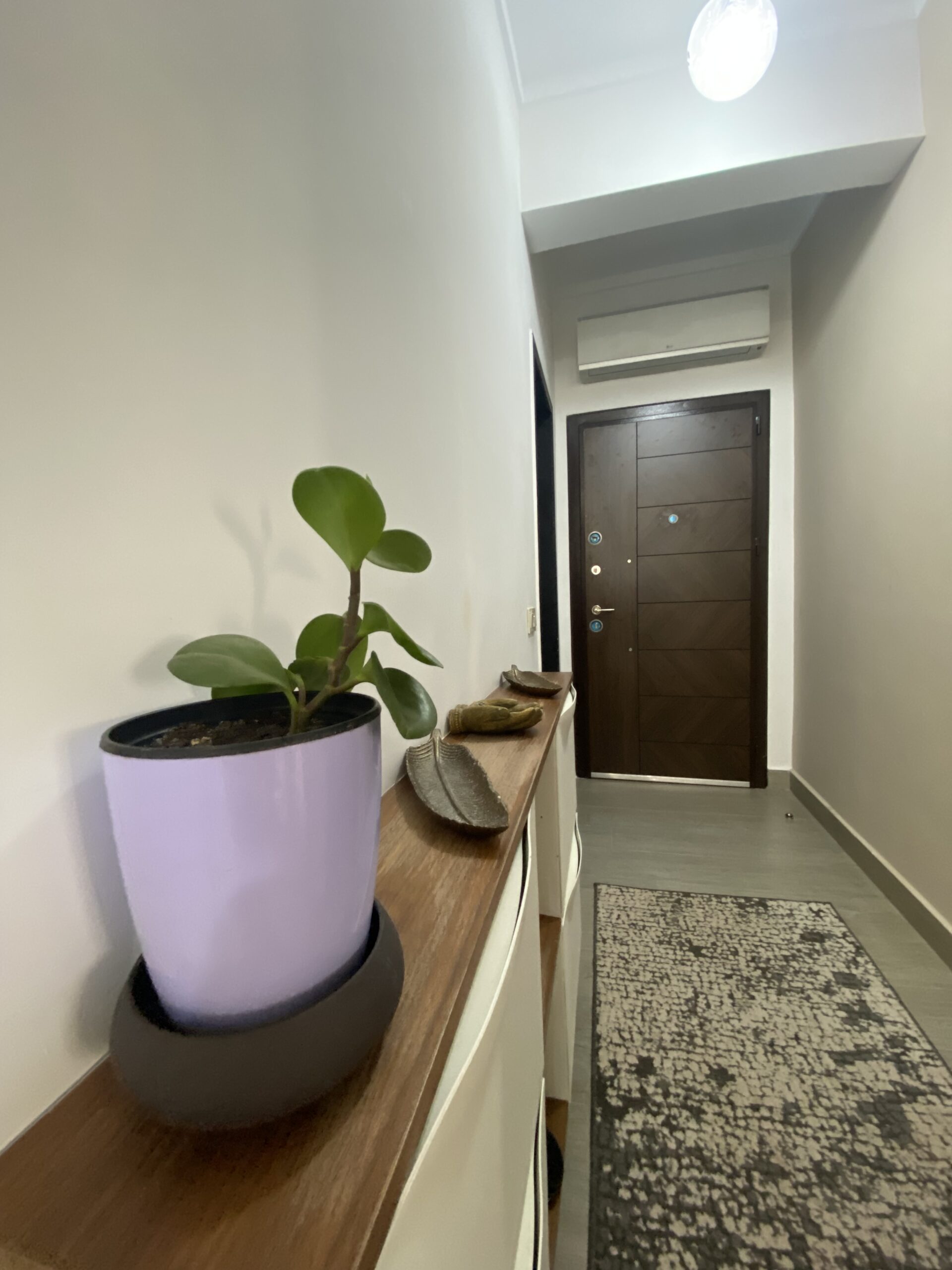 Le Havre Botanique Avec Jardin