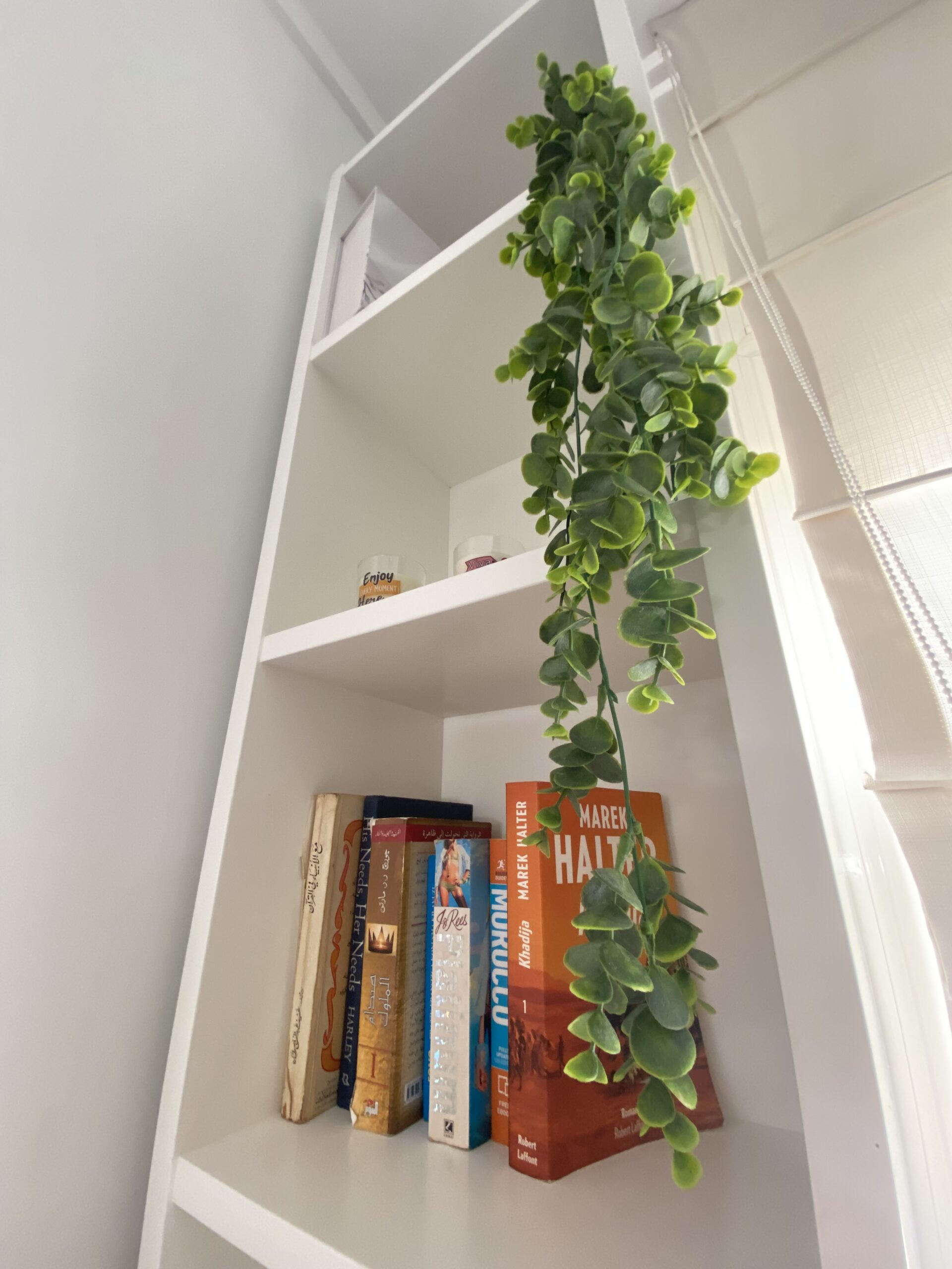 Le Havre Botanique Avec Jardin