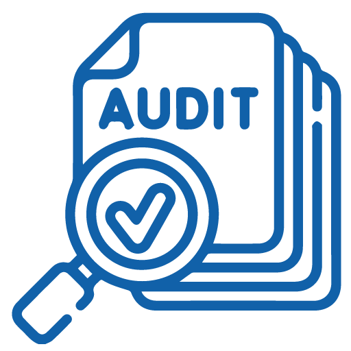 audit.png
